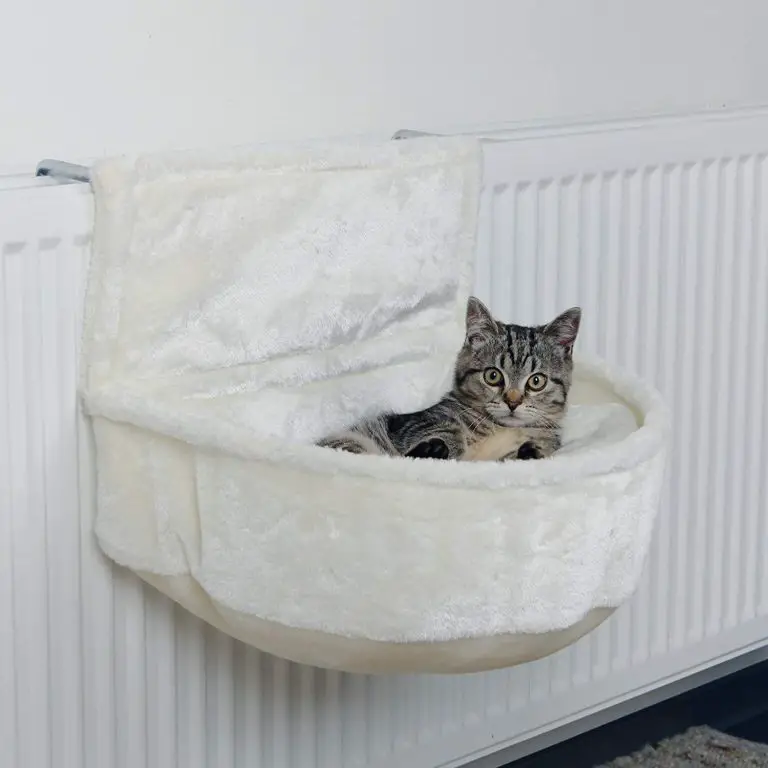 lit chat sur radiateur