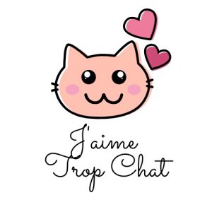 blog_chat_jaimetropchat