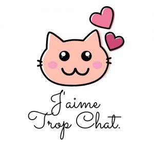 blog_chat_jaimetropchat