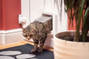 chatiere_porte_chat_chats_chaton_sureflap_amazon