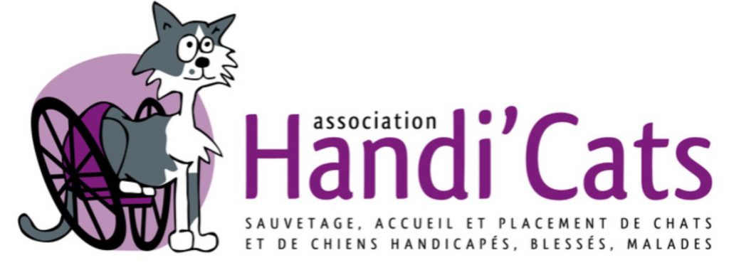 Association de protection chat Handi cats j'aime trop chat