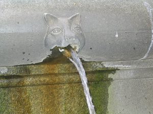 chat_qui_vomit_fontaine_jaimetropchat