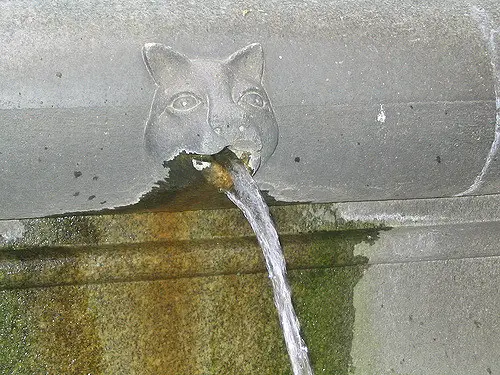 chat_qui_vomit_fontaine_jaimetropchat