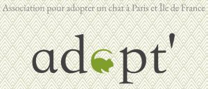 association feline j'aime trop chat adopt for life