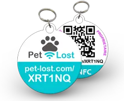 pet lost medaillon connecte chat jaimetropchat