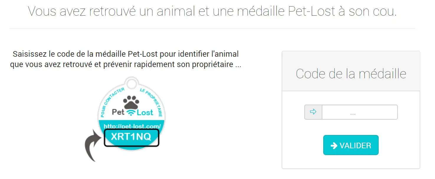 pet_lost_chat_medaille_connectee_jaimetropchat