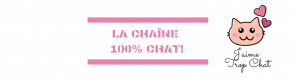 J'aime Trop Chat - La chaine Youtube 100% Chat et féline