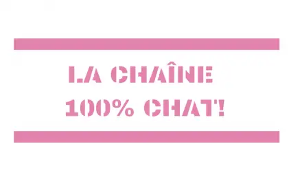 J’aime Trop Chat sur YouTube : la chaîne vidéo 100% CHAT !