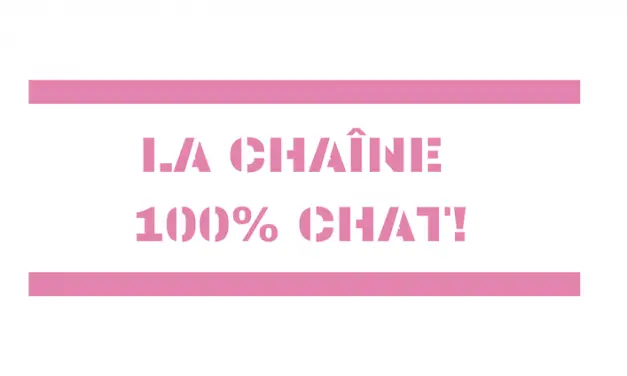 J’aime Trop Chat sur YouTube : la chaîne vidéo 100% CHAT !