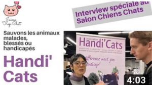 association protection chat féline handi'cats jaimetropchat J'aime Trop Chat