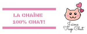 J'aime Trop Chat - La chaine Youtube 100% Chat et féline