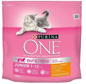 purina-one-chaton