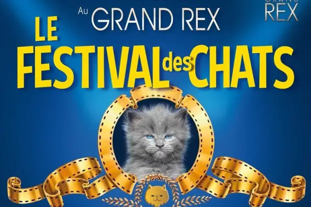 Le Festival des Chats – Grand Rex – 4 octobre 2019