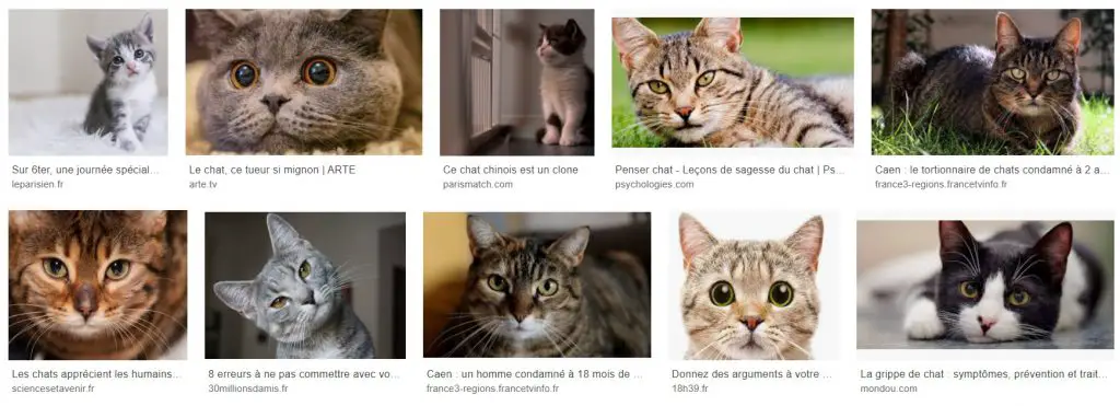 photo-chat-google-image-tag-chat