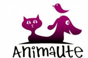 animaute-service-pet-sitting