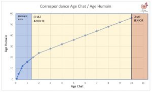 correspondance-age-chat-age-humain-graphe-graphique