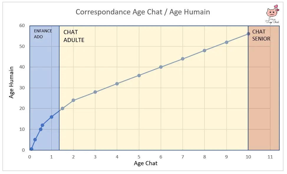 equivalence-age-chat-en-humain