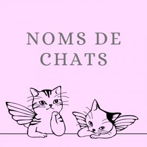 Noms de chat