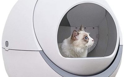 LITIERES AUTOMATIQUES CHAT – Litière autonettoyante : marques, prix, avis, comparatif ! Le meilleur guide 2023 !