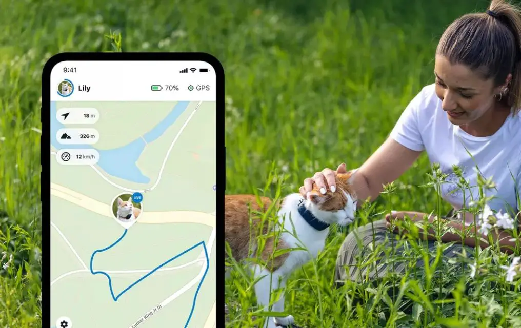 Découvrez le Meilleur Collier GPS pour Chat :  Indispensable – Avec ou Sans abonnement – Avis et Comparatif