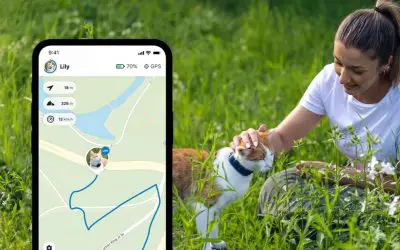 Découvrez le Meilleur Collier GPS pour Chat :  Indispensable – Avec ou Sans abonnement – Avis et Comparatif