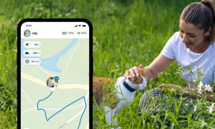 Découvrez le Meilleur Collier GPS pour Chat :  Indispensable – Avec ou Sans abonnement – Avis et Comparatif
