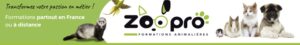 formation-comportementaliste-felin-zoopro