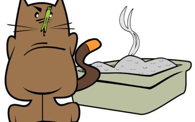 Où placer le bac à litière du chat ou du chaton ? Comment habituer votre chat, comment éviter les odeurs ?