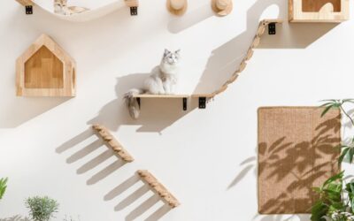 L’arbre à chats idéal : des perchoirs, des griffoirs et des jouets