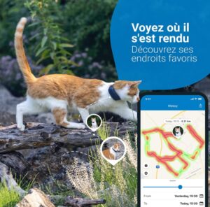 collier-gps-chat-abonnement-tractive