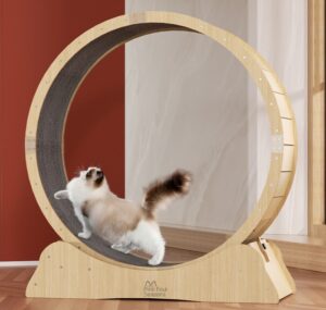 roue-pour-chats